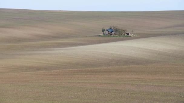 South Moravian herfst velden — Stockvideo