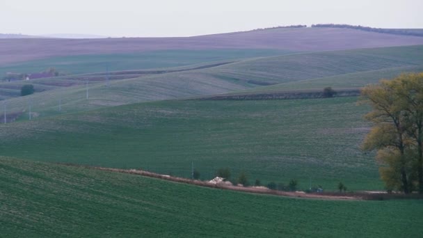 Moravia del Sur otoño campos — Vídeo de stock