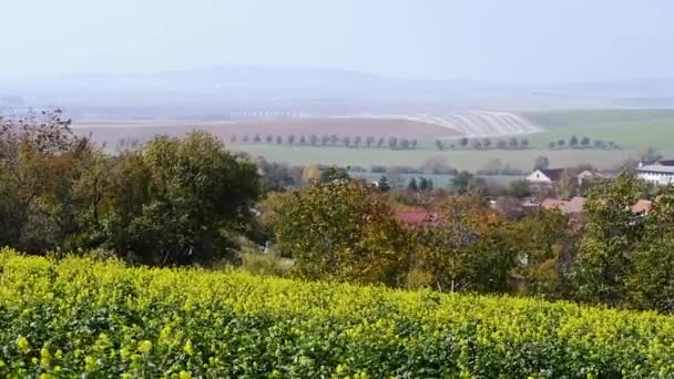 South Moravian herfst velden — Stockvideo