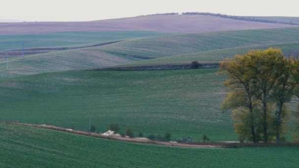 Южно-Моравское осеннее поле — стоковое видео