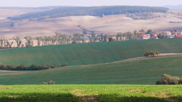 Høstfelt i Sør-Moravia – stockvideo