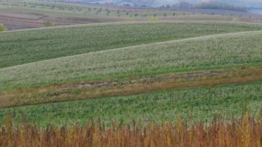 South Moravian sonbahar alanları