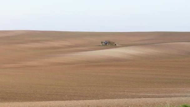 Moravia del Sur otoño campos — Vídeo de stock