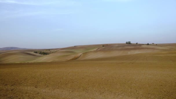 Campos de outono da Morávia do Sul — Vídeo de Stock