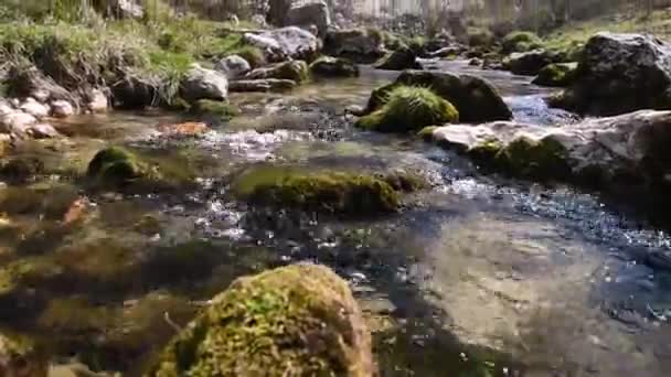 Horská řeka zobrazení — Stock video