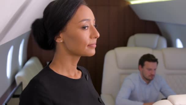 Business Jet Travel. — Stockvideo