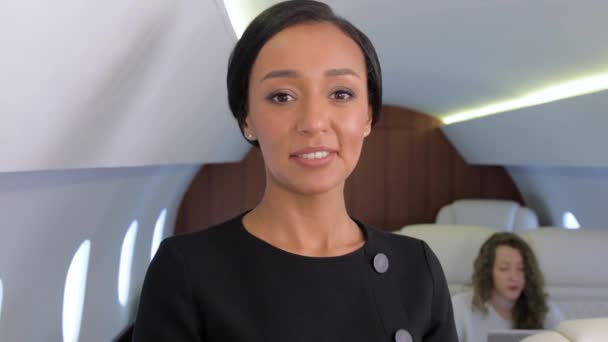 Business Jet Travel. — Stockvideo