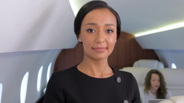 Business jet travel. — Stock Video