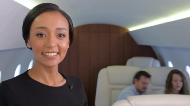 Business Jet Travel. — Stockvideo