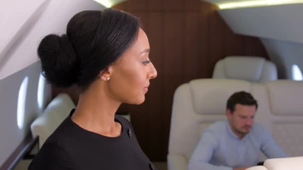 Viaje en jet de negocios . — Vídeos de Stock