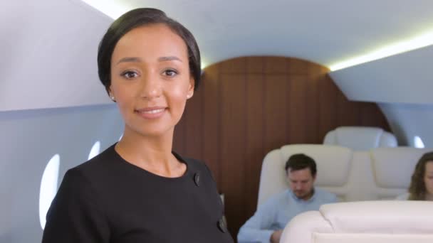 Бізнес-Jet Travel . — стокове відео