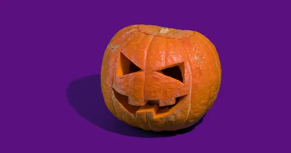 Halloweenpompoenen of Jack oLantern — Stockfoto