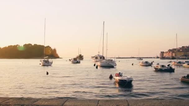 Rovinj码头和日落时的城市景观 — 图库视频影像