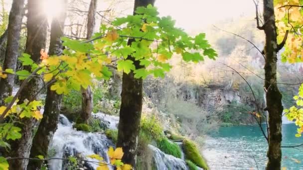 Outono Plitvice Lagos — Vídeo de Stock