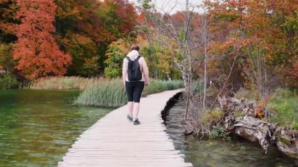 Lagos de otoño de Plitvice — Vídeo de stock