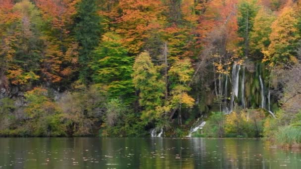 Herbstliche Plitvicer Seen — Stockvideo