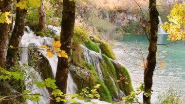 Sonbahar Plitvice Gölleri