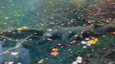 Sonbahar Plitvice Gölleri