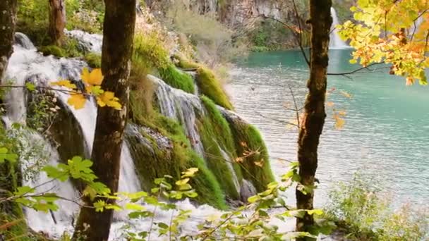 Autumn Plitvice Lakes — Stock Video