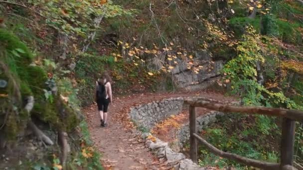 Herbstliche Plitvicer Seen — Stockvideo