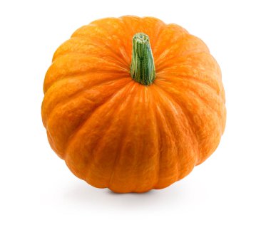 Taze balkabağı izole edildi