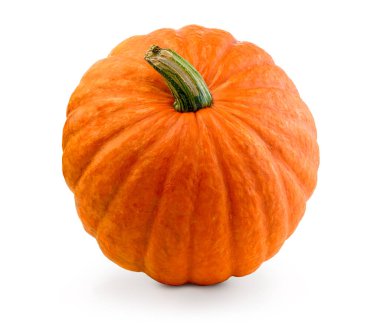 Taze balkabağı izole edildi