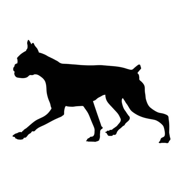 Silhouette d'un chien de race Boxer — Image vectorielle