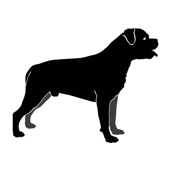 Perro de raza Rottweiler. Silueta — Vector de stock