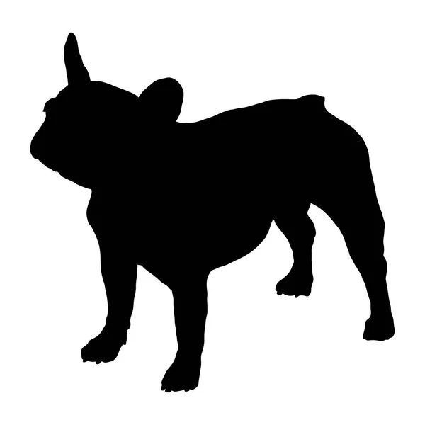 Bulldog francés. Silueta — Vector de stock