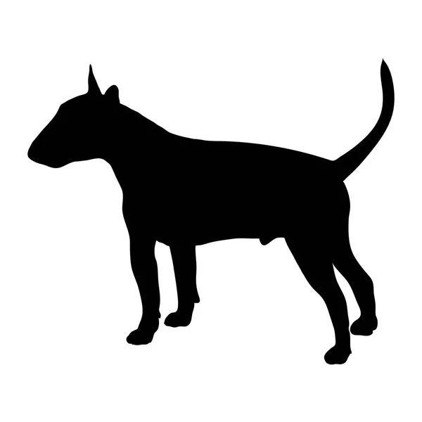 Bull Terrier. Silhouette — Stock Vector