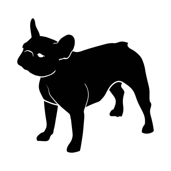 Bulldog francese. Silhouette — Vettoriale Stock