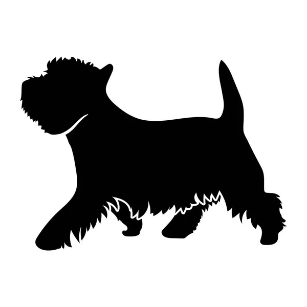 West Highland White Terrier — Stock Vector