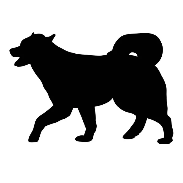 Cão malamute do Alasca — Vetor de Stock