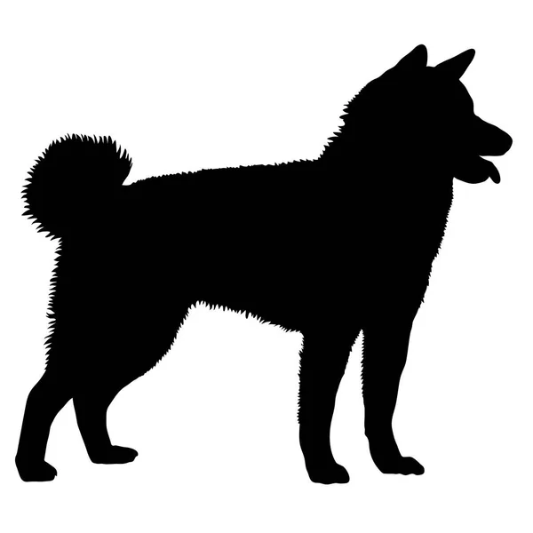 Akita hund. Siluett — Stock vektor