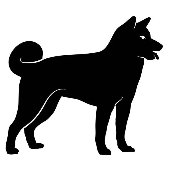 Perro Akita. Silueta — Archivo Imágenes Vectoriales