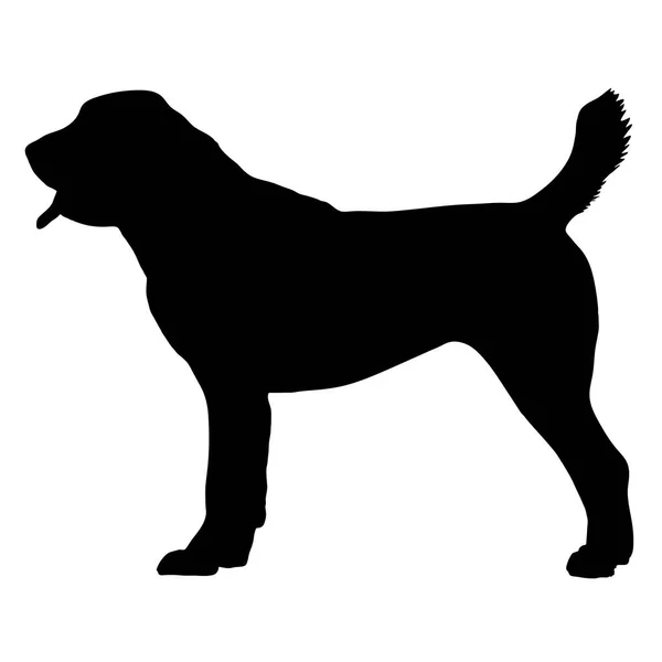 Centralasiatiska herdehund — Stock vektor