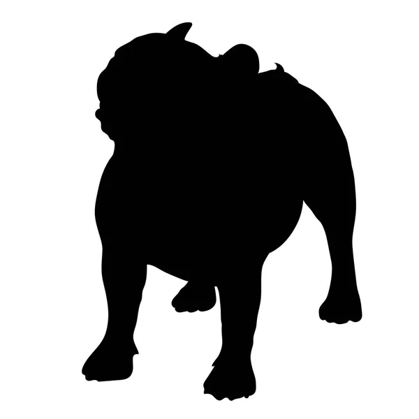 Bulldog francés. Silueta — Archivo Imágenes Vectoriales