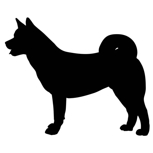 Silhouette of American Akita — Stock Vector