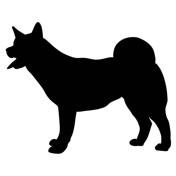 Silhouette der amerikanischen Akita — Stockvektor