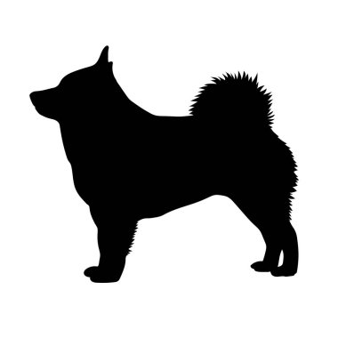 Köpek Schipperke. Siluet. Vektör
