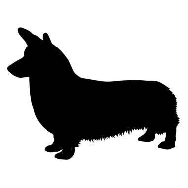 Pembroke Galce corgi