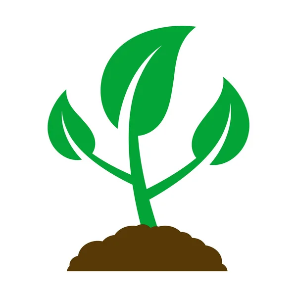 Икона молодого растения — стоковый вектор