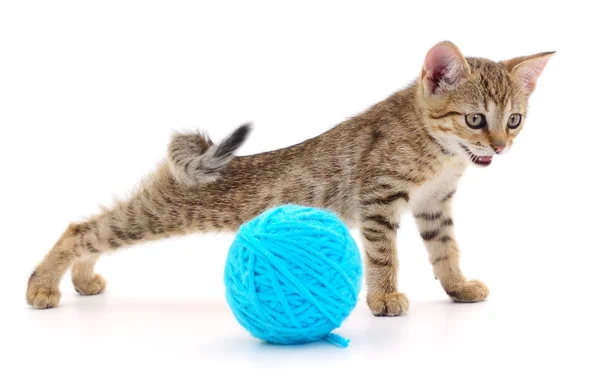 Pequeño Gatito Divertido Poco Hilo Aislado Sobre Fondo Blanco — Foto de Stock