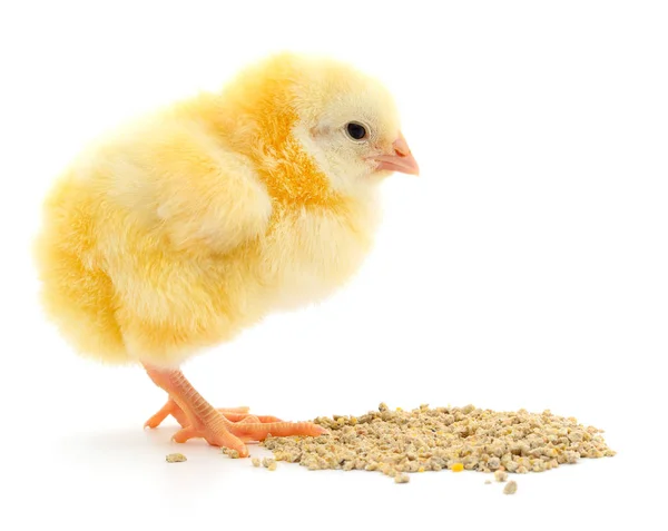 Kip Met Voedsel Een Witte Achtergrond — Stockfoto