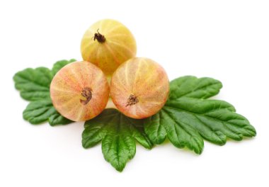 Beyaz yapraklı taze bektaşi üzümü..