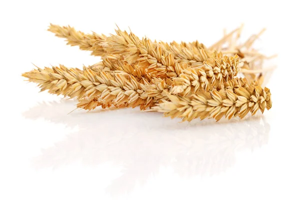 白い背景に小麦の耳があり — ストック写真