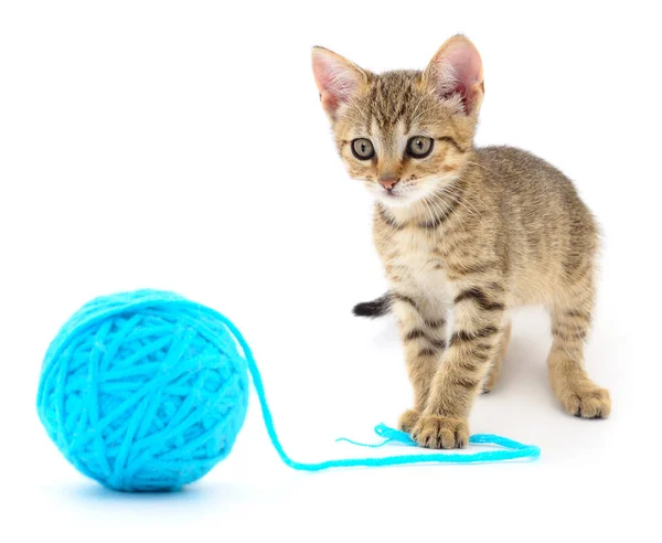 Small Funny Kitten Clew Thread Isolated White Background — Stock Photo, Image