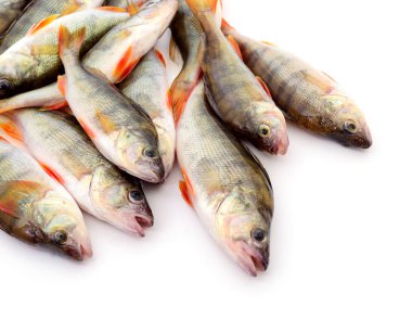 Beyaz üstüne tünemiş.