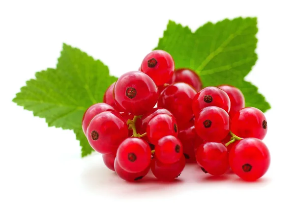 Red currants with green leaves. — Stock Photo, Image