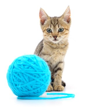 yavru kedi yumağı ile.